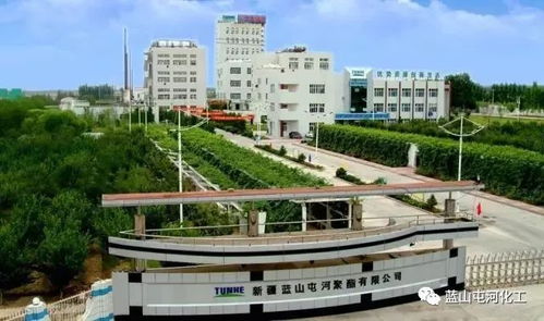 聚酯公司榮膺自治區(qū)綠色工廠稱號(hào) 以技術(shù)引領(lǐng)，鑄就綠色可持續(xù)發(fā)展新標(biāo)桿